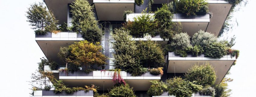 بهبود کیفیت هوای شهرها با فضای سبز عمومی